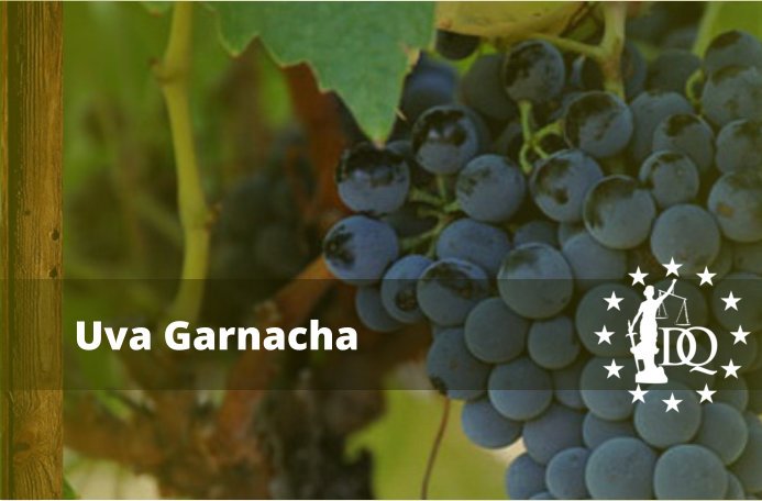 Características Vino Garnacha