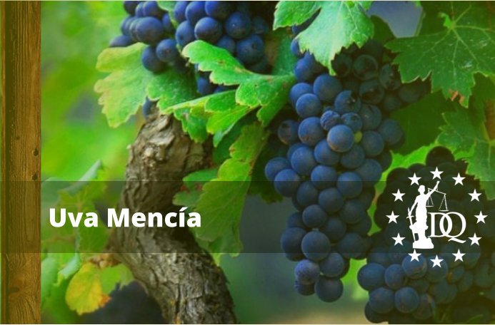 Características Vino Mencía