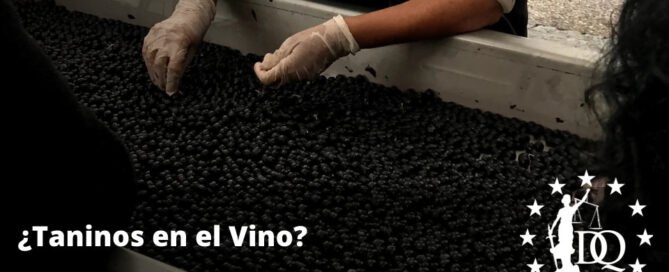 Taninos en el Vino Definición Orígenes y 7 Formas en que los Taninos Afectan al Vino