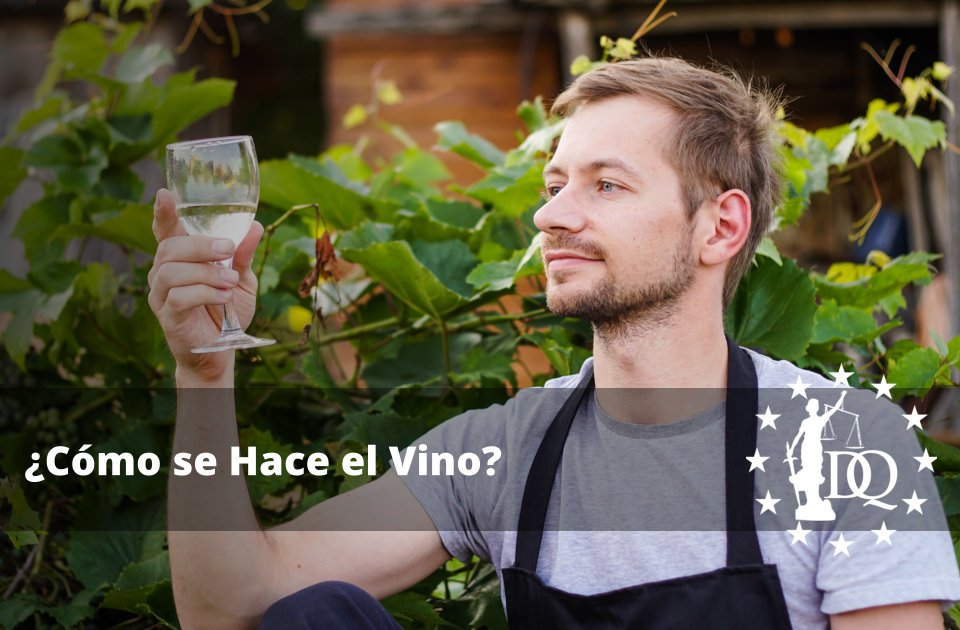 Cómo se Hace el Vino