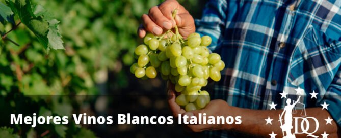 Mejores Vinos Blancos Italianos