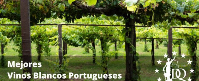 Mejores Vinos Blancos Portugueses