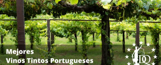 Mejores Vinos Tintos Portugueses