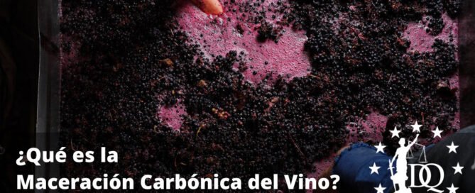 Qué es la Maceración Carbónica del Vino