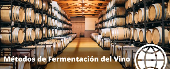 Métodos de Fermentación del Vino