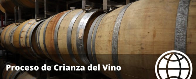 Proceso de Crianza del Vino