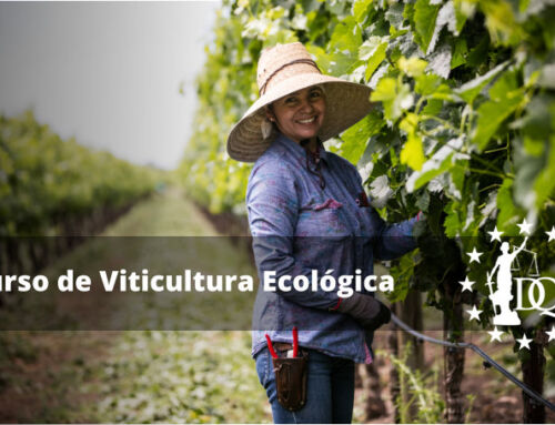Curso Viticultura Ecológica