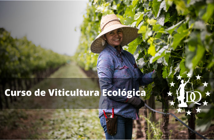 Curso Viticultura Ecológica - Viñedo Ecológico