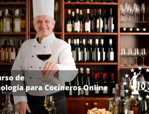 Curso de Enología para Cocineros Online