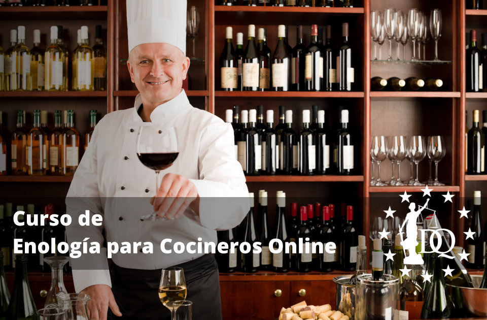 Curso de Enología para Cocineros Online