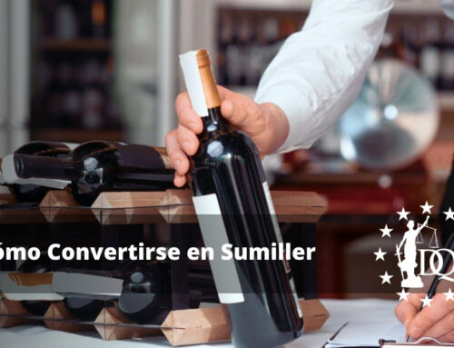 Cómo Convertirse en Sumiller: Consejos y Trucos para Entrar en la Industria del Vino