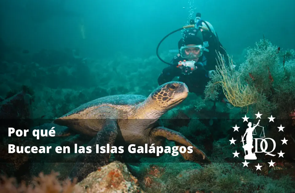 Por qué Bucear en las Islas Galápagos