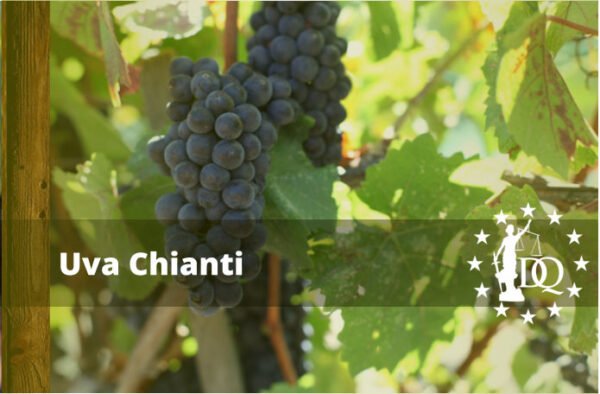 Vino Chianti Uvas Región y Maridajes