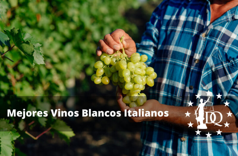 ¿cuántas Calorías Tiene Una Copa De Vino