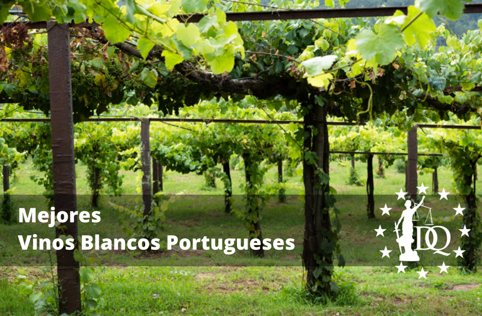 Mejores Vinos Blancos Portugueses