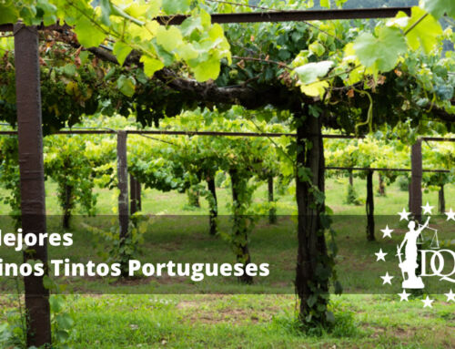 Mejores Vinos Tintos Portugueses