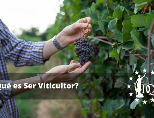 ¿Qué es Ser Viticultor?