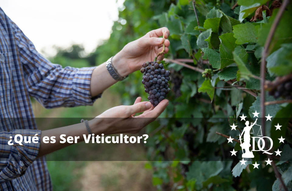 Qué es Ser Viticultor