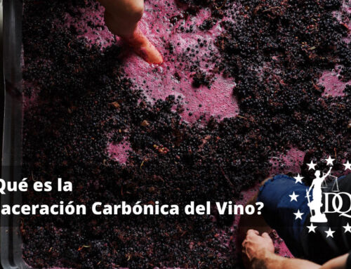 ¿Qué es la Maceración Carbónica del Vino?